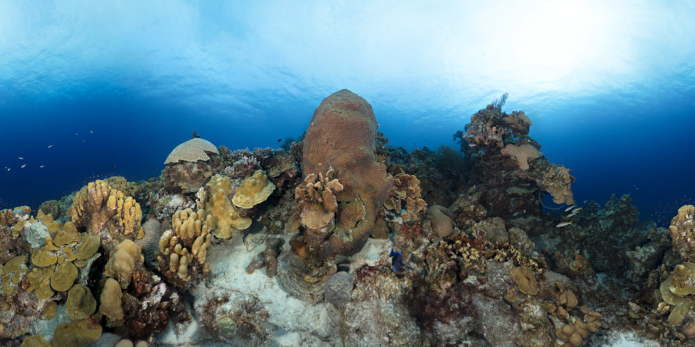 Panorama - 1000 Steps Underwater