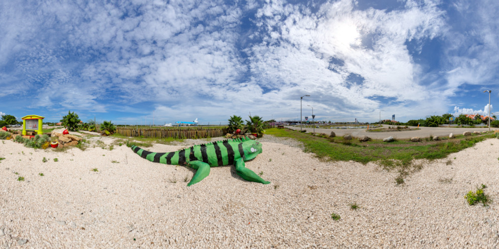 Panorama - The Airport 2010