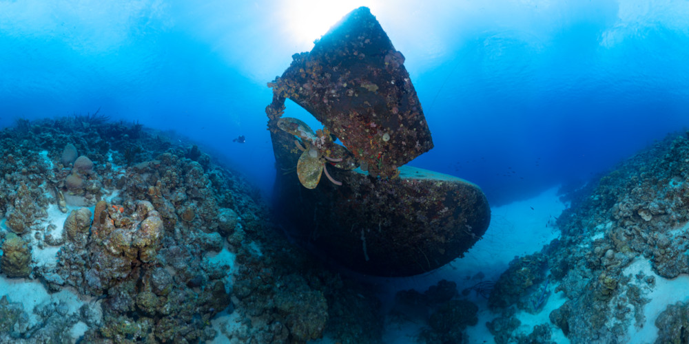 Panorama - Coral Propeller