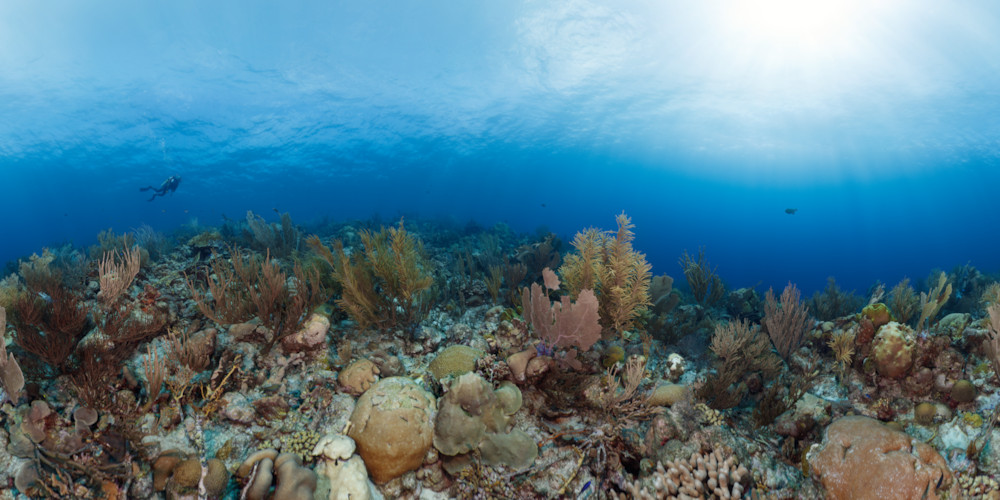 Panorama - The Lighthouse Reef