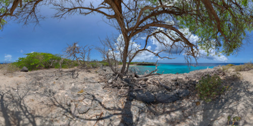 bonaire-reef-panoramas