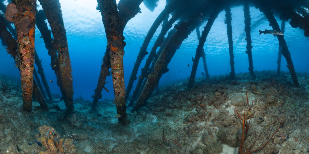 Panorama - Salt Pier Pillars